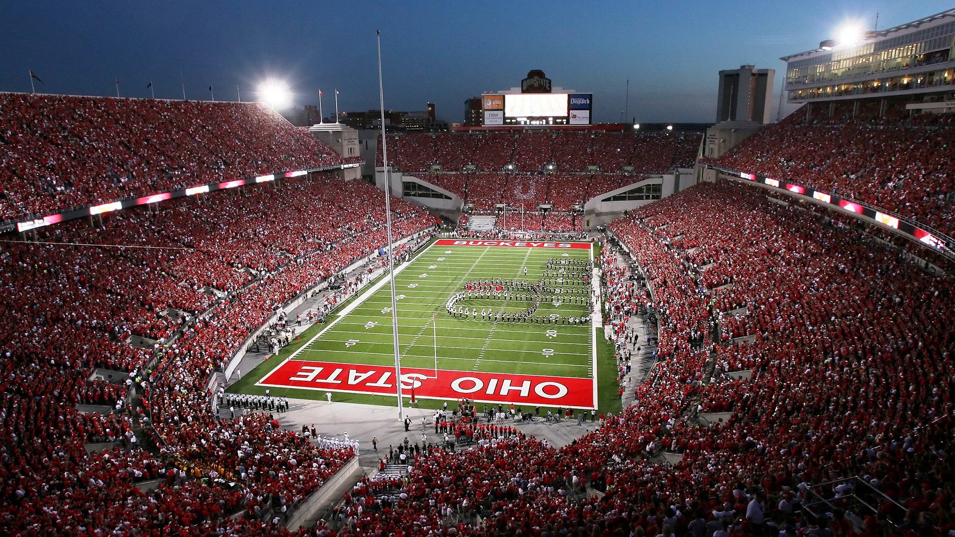 Scout迎来三赛季高光表现,澳大利亚队球迷沸腾!